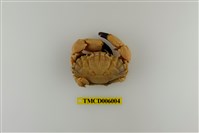 藏品(肉球皺蟹)的圖片